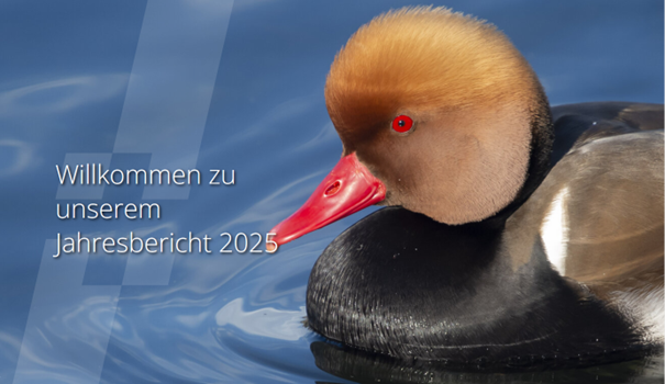 Jahresbericht 2025
