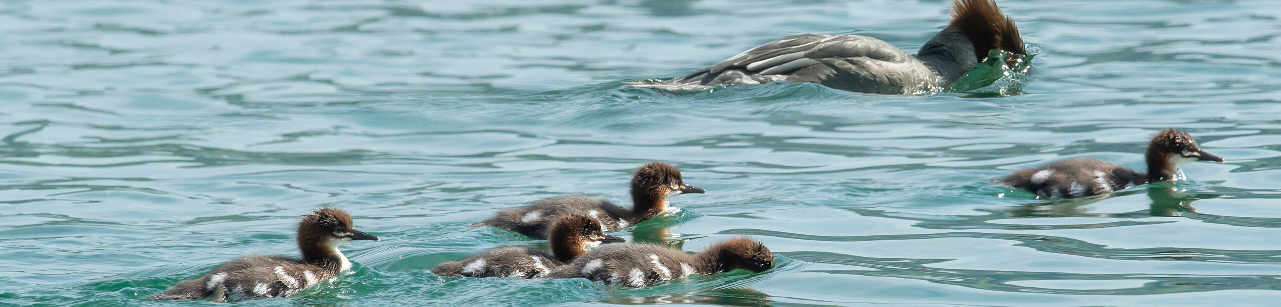 Über uns - Kopfgallery