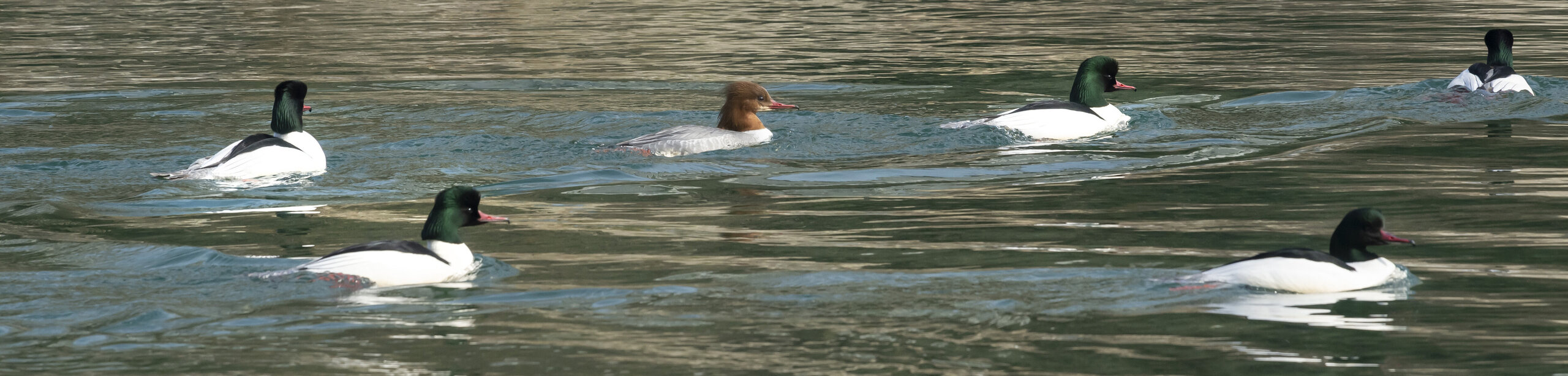 Perspektive+ Schlussbild